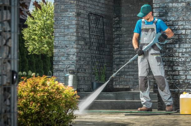 Best Residential Exterior Washing  in Chuluota, FL