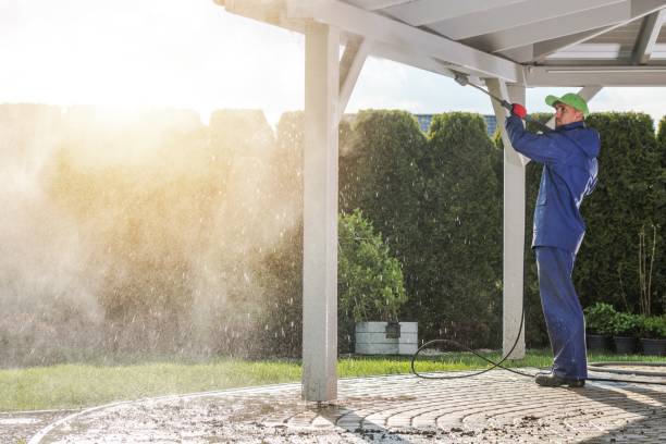 Best Animal Enclosure Cleaning  in Chuluota, FL